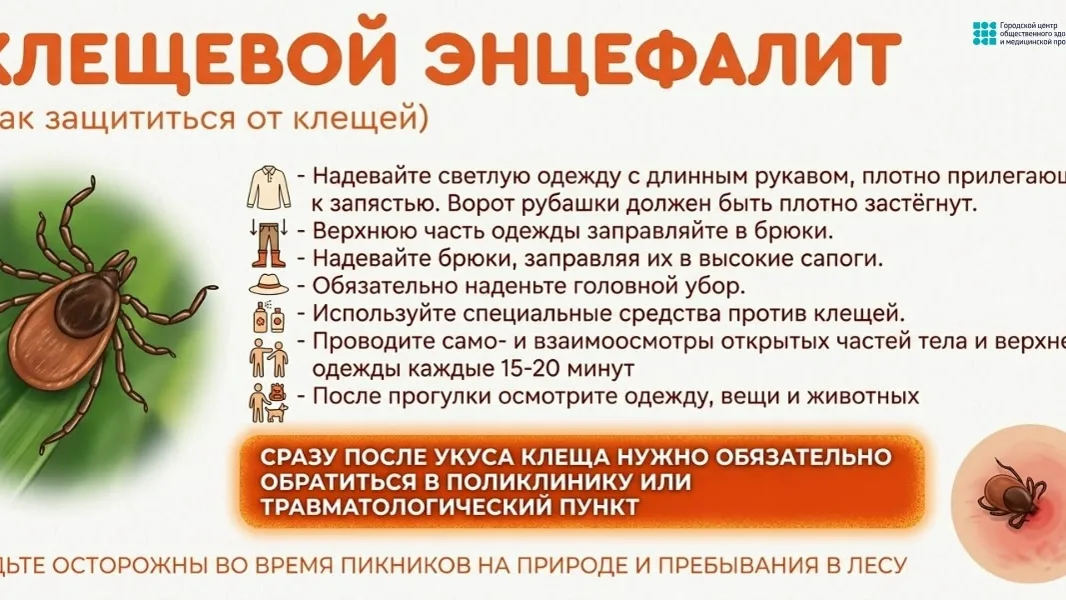 Как защититься от клещей